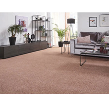 Wohnzimmer mit Teppichboden, Sofa, Regalen und Dekoration