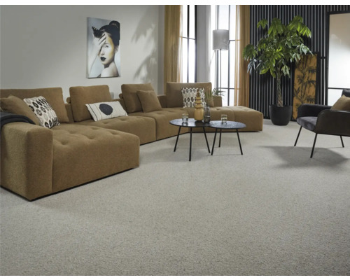 Salon avec canapé, table, fauteuil, plante d''intérieur et tapis