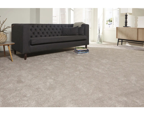 Wohnzimmer mit Teppichboden, Sofa und Möbeln