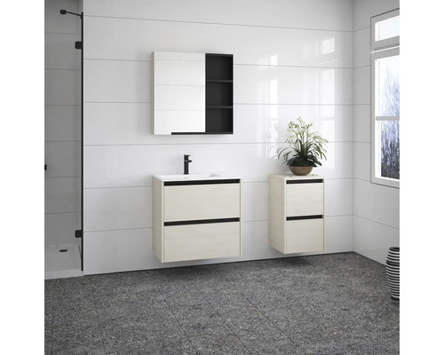 Salle de bain avec lavabo, armoire de toilette et meuble bas