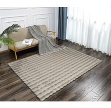 Wohnzimmer mit Sofa und rechteckigem Teppich