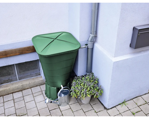 Regentonne neben Regenrohr mit Giesskanne und Topfpflanze