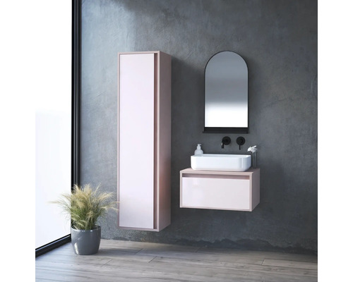 Salle de bains moderne avec lavabo, armoire de toilette et plante en pot