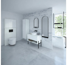 Spülkastenverkleidung mit Schrank und Seitenregal Devo Cristal 2.0 BxHxT 80x188x19 cm alpine white/signal white glass