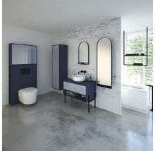 Spülkastenverkleidung mit Schrank und Seitenregal Devo Cristal 2.0 BxHxT 80x188x19 cm tyrolean blue/metal blue glass