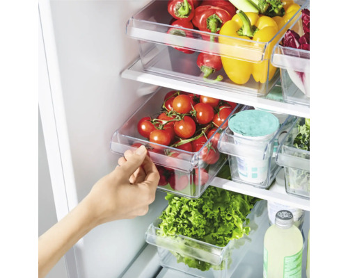 Kühlschrank mit transparenten Aufbewahrungsboxen gefüllt mit Gemüse