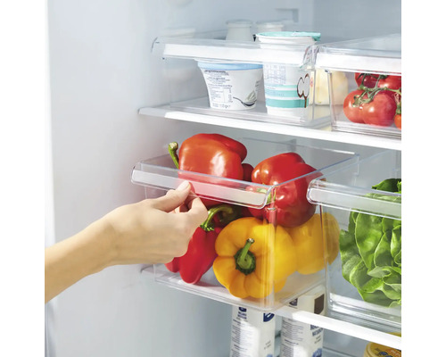 Kühlschrank mit transparenten Aufbewahrungsboxen gefüllt mit Gemüse.