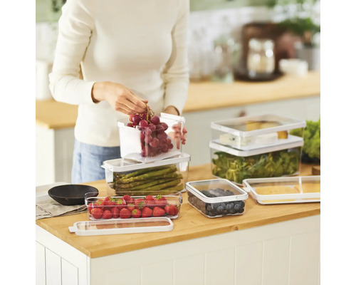 Verschiedene Lebensmittel in transparenten Vorratsbehältern mit Deckel auf einer Küchentheke.