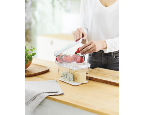 Aufnahme von zwei transparenten Frischhaltedosen auf einem Holztisch. Eine Person legt Erdbeeren in die obere Dose, während die untere Dose Käse enthält.