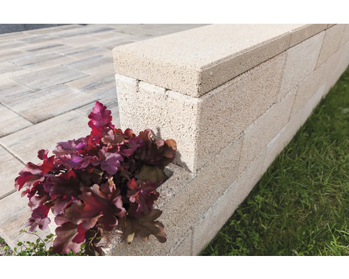 Mur en blocs de béton avec plante