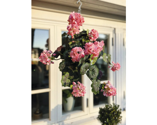 Géranium suspendu avec crochet devant une fenêtre