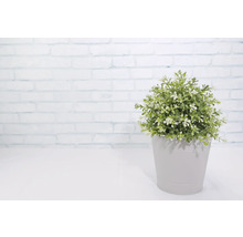 Kunstpflanze im Topf