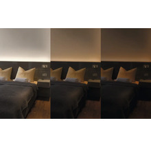 Schlafzimmer mit Bett, Nachttischen und Beleuchtung