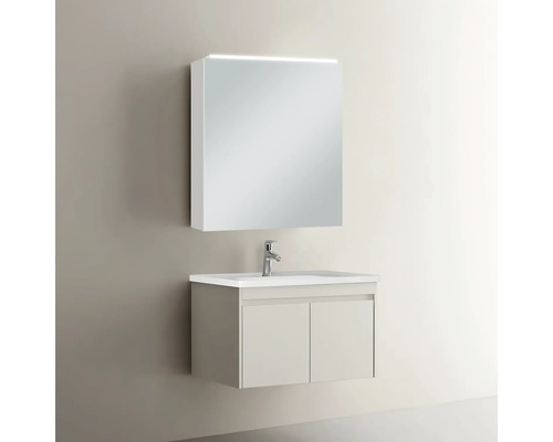 Ensemble de meubles de salle de bains avec armoire de toilette et meuble sous-lavabo