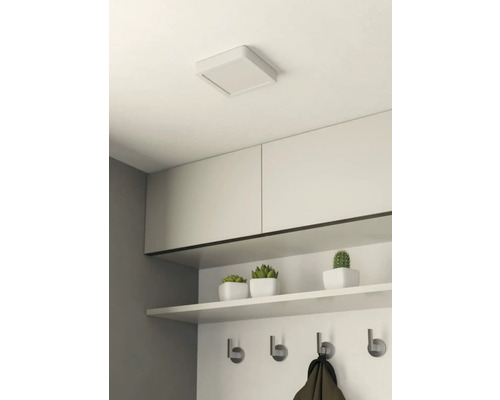 Plafonnier dans un couloir avec vestiaire, étagère, crochets et plantes décoratives.