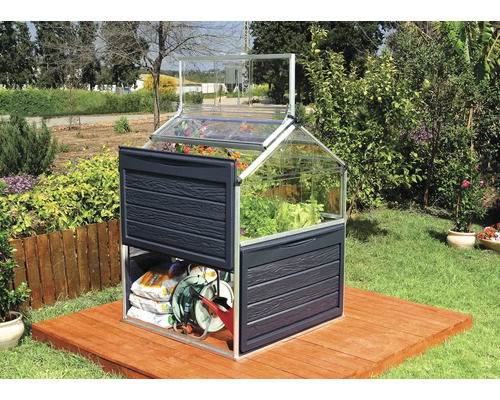 Serre avec des plantes et des outils de jardin sur une terrasse en bois