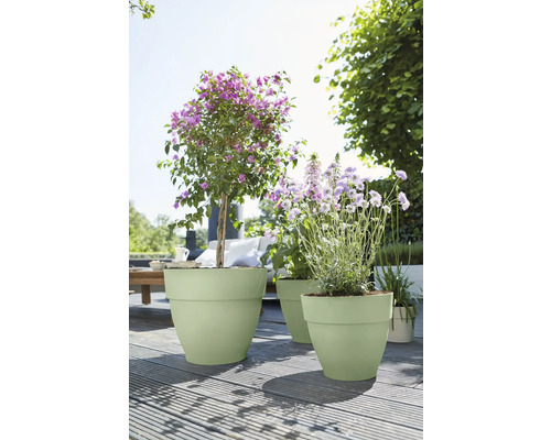 Trois pots de fleurs avec des plantes sur une terrasse