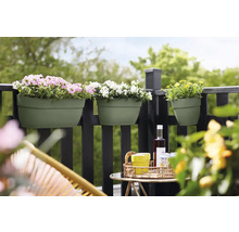 Scène de balcon avec des jardinières sur une balustrade, plantées de fleurs roses, blanches et jaunes, avec une table et des chaises au premier plan