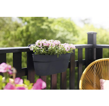 Jardinière avec fleurs sur la balustrade