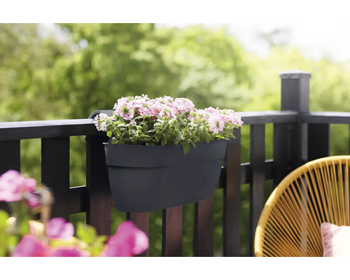 Jardinière avec fleurs sur la balustrade