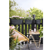 Scène de balcon avec des jardinières sur la balustrade, une petite table avec des boissons et une chaise