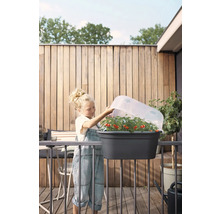 Mädchen auf einem Balkon mit Tomatenpflanzen in einem Pflanzkasten mit Frühbeetaufsatz