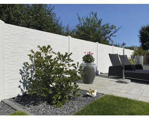 Scène de jardin avec pare-vue, chaise longue et plantation