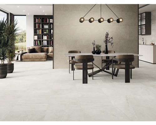 Heller, geräumiger Wohnbereich mit Esstisch, Stühlen, Bücherregal und Zimmerpflanzen