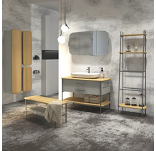 Hängeschrank mit 1 Tür Devo Oval rechts BxHxT 34x94x33 cm light grey/natural oak wood/grey