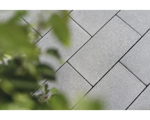 Pavés dans le jardin