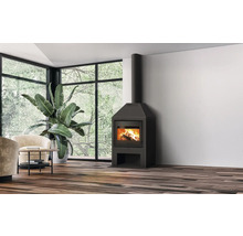 Poêle à bois indépendant avec du bois qui brûle dans un salon lumineux