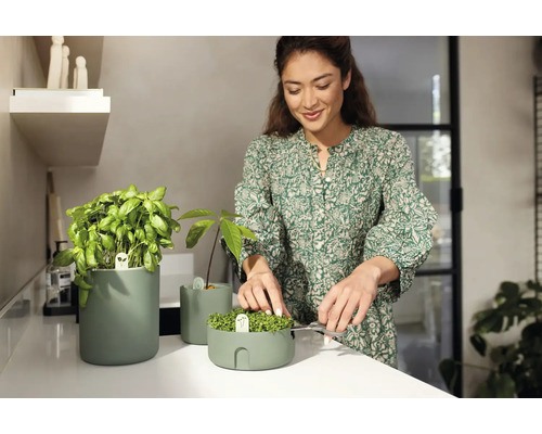 Femme coupant des herbes aromatiques dans des pots sur un plan de travail de cuisine.