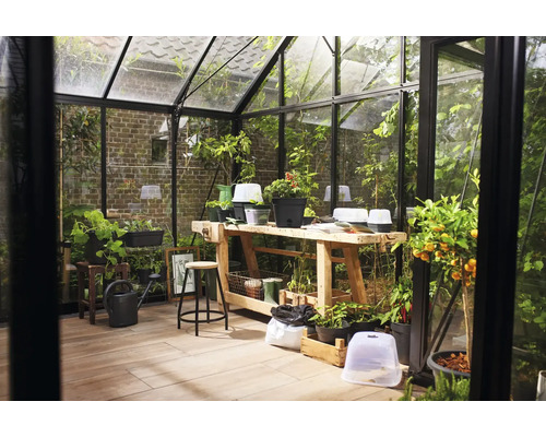 Intérieur d''une serre avec des plantes et des outils de jardinage sur une table en bois