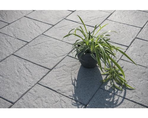 Pavés gris avec plante en pot