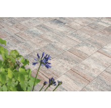 Beton Terrassenplatte iStone Value muschelbeige 60 x 30 x 4 cm