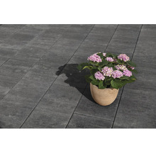 Pavés gris avec fleur en pot