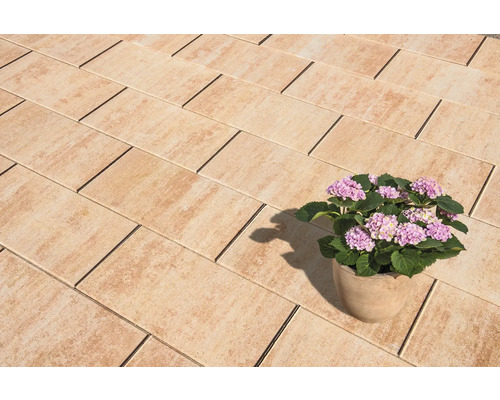 Pavés posés avec hortensia en fleurs en pot