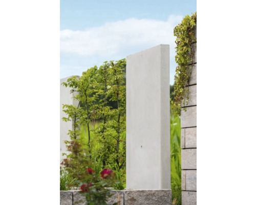 Sichtschutzelement aus Beton mit Pflanzen