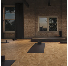 Intérieur avec tapis de yoga, blocs, fenêtres et maçonnerie