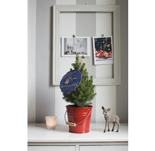 Arbre de Noël dans un seau rouge avec décoration sur commode