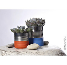 Deux boîtes de conserve plantées avec des plantes grasses et des pierres sur un plateau de table.