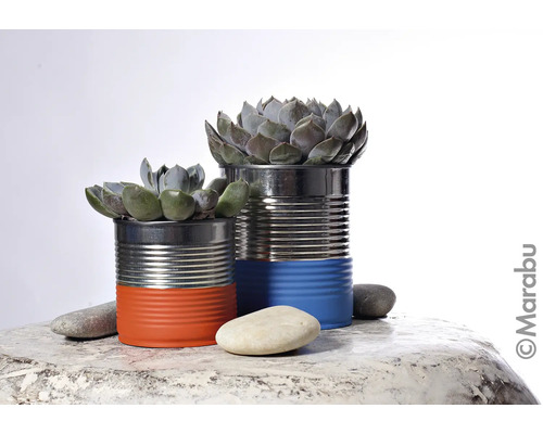 Deux plantes succulentes dans des boîtes de conserve peintes avec des pierres sur une table