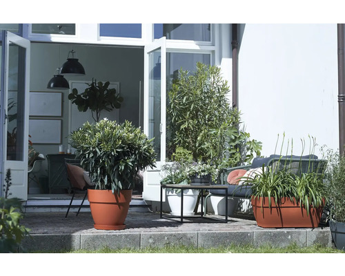 Terrasse mit Pflanzen in Töpfen und Gartenmöbeln vor geöffneten Türen