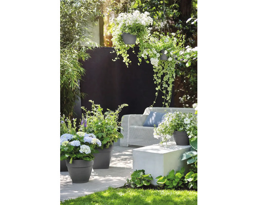 Gartenbereich mit Pflanzgefäßen, Hängeampeln und Sitzgelegenheiten für eine entspannte Atmosphäre