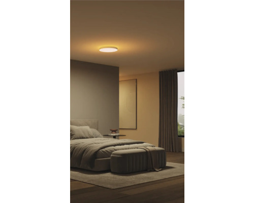 Schlafzimmer mit Bett, Nachttisch, Bild, Vorhang, Teppich und Deckenleuchte