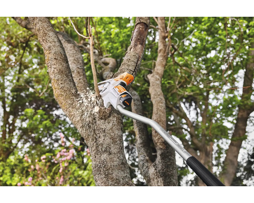 Élagueuse à batterie coupant une branche