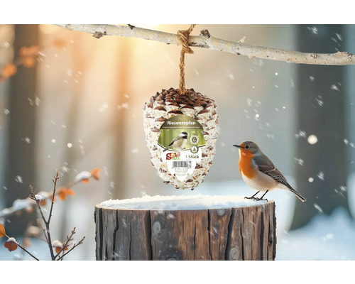 Pomme de pin suspendue à un arbre, un oiseau est assis sur une souche d''arbre.