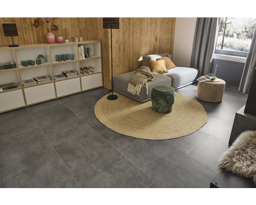 Salon avec système d''étagères, canapé, tapis et carrelage gris.