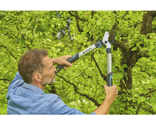 Un homme coupe des branches d''arbre avec un ébrancheur Gardena.