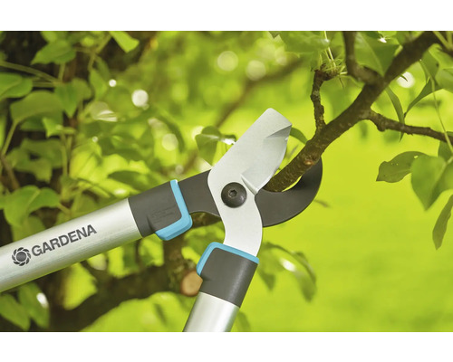 Sécateur coupant une branche